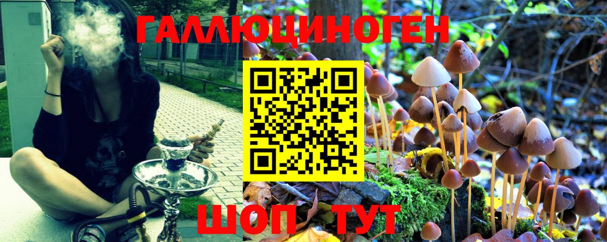 Галлюциногенные грибы мицелий  Вход с VPN  Псилоцибиновые грибы Psilocybine cubensis  где купить наркотик  Ижевск 